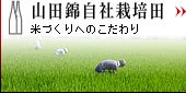 RcюЍ͔|c@ĂÂւ̂